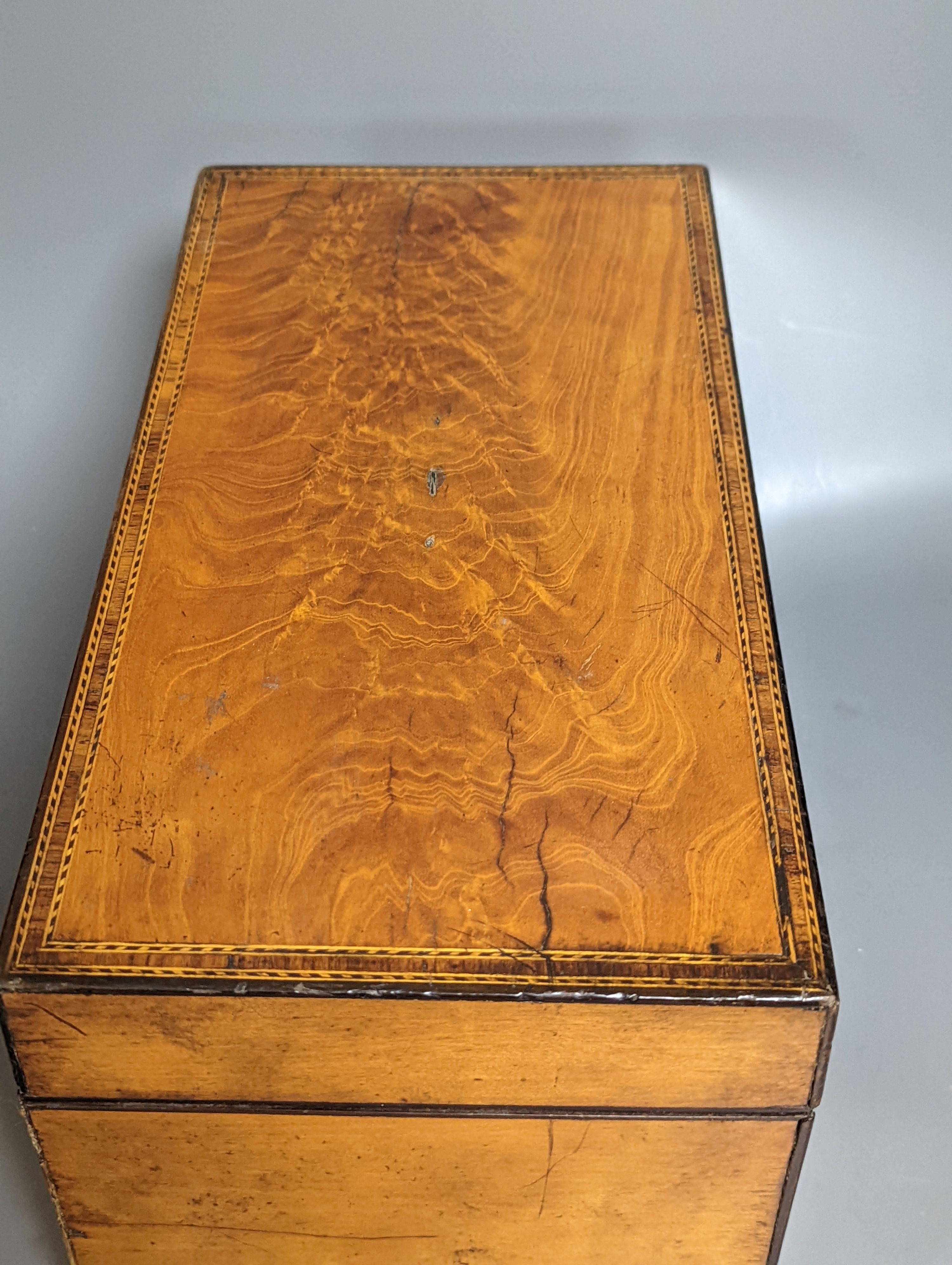 An early 19th century West Indian satinwood tea caddy 33cm